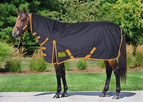 200g Combo Horse Turnout Rug All Sizes (5'9)
