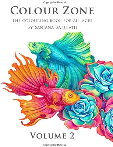 Colour Zone Volume 2: The colouring book for all ages