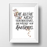 die Blume ist nicht vertrocknet