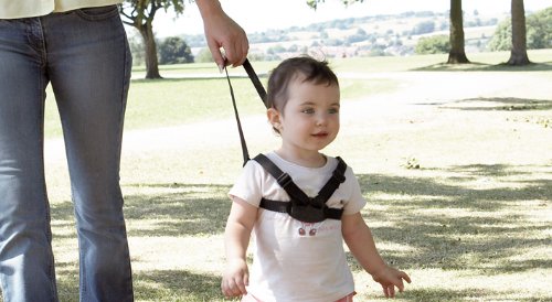 Lindam Harness and Reins