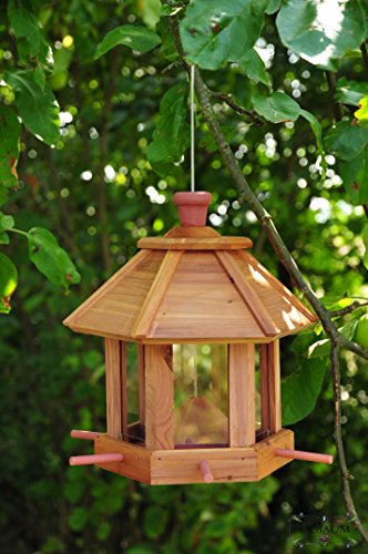 Vogelhaus,großes Holz-Vogelhäuschen, PREMIUM ZEDER wetterfest,mit Silo + LED-Licht, Nistkasten Vöglehus Vogelvilla Futterkasten + 6x Futterstation - 2