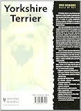 Image de Yorkshire Terrier