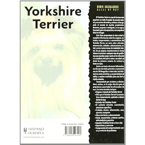 Yorkshire terrier (Excellence)