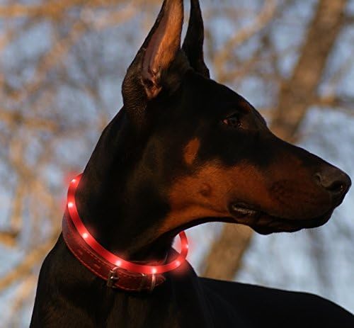 LED Dog Collar, USB Rechargeable Pet Safety Collar Silicone Adjustable Glowing Safety Water Resistant Collar, Flashing LED Lights up the Collar with Light for Pets Dogs by Vizpet (Red)