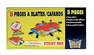 DIGRAIN I8025 Sticky Box, Jaune, 22,5 x 11 x 0,4 cm