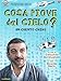 Cosa piove dal cielo? [Import italien]