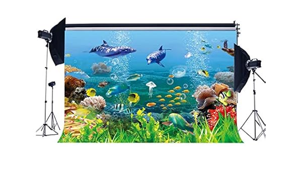 Buenn Vinyl 5x3ft Unterwasserwelt Kulisse 3d Aquarium Amazon De