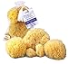 Natural Sea Sponges Multi Pack the Perfect Spa Gift Set to Pamper Moms, Brides, Girlfriends, Teens; Gentle, Hypoallergenic, Great for Bath, Shower & Facial Cleansing by Constantia Beauty TM with BONUSES!