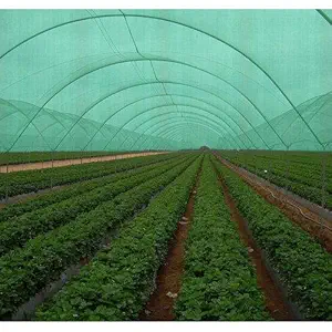 Green Garden Shade Net 3 * 10 Mtrs - Genuine 75% Shade/Mesh - HDPE UV Stabilized Material