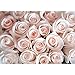 Produktbild Vlies Fototapete 300x210 cm - Top ! PREMIUM PLUS Foto Tapete ! Wandbilder XXL Wandbild Bild Fototapeten Tapeten Wandtapete Wanddeko Wand Blumen Rose Blüte - no. 185