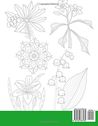 Easy Colouring Book For Adults: Floral Design Colouring book: Adult Colouring Book with 50 Basic, Simple and Bold flower patterns and motifs for ... Volume 1 (Beginner Colouring Books of Adults)