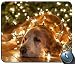 Produktbild Mauspad Gaming Maus Matte Gel-Gummi für PC, Niedliche Labrador-Welpen-Mausunterlage-Auflage - verfolgen Sie Hunde Goldener Apportierhund PC Computer