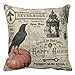 Produktbild DOLDOA  Halloween kissen  Happy Halloween Kissenbezüge Sofa Kissenbezug Home Decor (45 X 45 CM/18"x18", T)