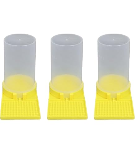 Abreuvoir Pour Abeilles - Lot De 4 Distributeurs Eau Nid D'Abeille - Apiculture