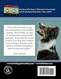 Image de Dog Sports Skills, Book 1: Developing Engagement and Relationship: Volume 1