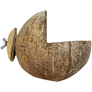 omem Hamster, Hamster Raum, geeignet für, Eichhörnchen, Meerschweinchen, Kaninchen, Syrische Hamster, Reptile Tiere