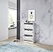 Germania Shoe Cabinet 3602,with 3 flaps, in White, 58 x 105 x 17 cm (WxHxD)
