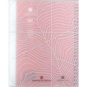 Criteris per a la toponímia d'àmbit municipal / Critèris entara toponimia d'encastre municipau