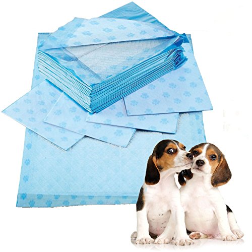 Prime-Paws-Large-Scented-Puppy-Trainer-Training-Pads-Toilet-Wee-60x60cm