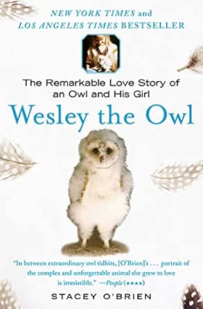 Wesley The Owl The Remarkable Love Story Of An Owl And His Girl English Edition Ebook O Brien Stacey Amazon Fr Boutique Kindle