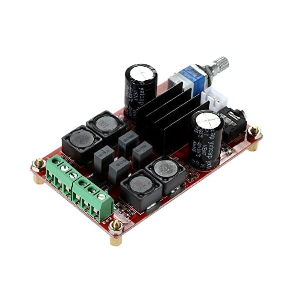 KKmoon 2 x 100W TPA3116D2 Doppelkanal Digital Audioverstärker Brett DC12V-24V für Arduino