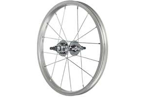 ECOVELO Ruota Posteriore Roue arrière Adulte Unisexe, Argent, 16 x 1,75 (305x20)
