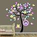 JoyGood Removable Swing Owl Tree Wall Decal Sticker for Baby Nursery