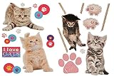 XL Set: Wandtattoo / Sticker - Kätzchen Katzen mit Pfoten - Postersticker - Wandsticker Aufkleber Poster Tiere Tier