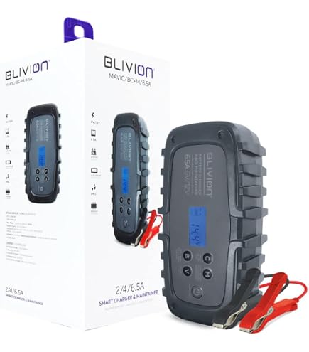 BLIVION Caricabatterie Intelligente 6V/12V 2/4/6.5A - Diagnostica E Recupero Batterie Piombo (WET, AGM, GEL) E LiFePO4, Con 9 Fasi