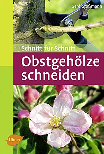 Download Obstgehölze schneiden: Schnitt für Schnitt (Taschenatlanten) Download Obstgehölze schneiden: Schnitt für Schnitt (Taschenatlanten)