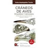 Craneos de aves peque&ntilde;as y medianas 2 edicion (GUIAS DESPLEGABLES)
