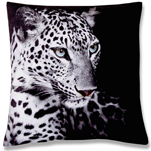 Kissenhülle mit Motiv 40x40 cm Fotodruck Fotoprint, bequemes und kraftvolles Wohnaccessoire mit und ohne Füllkissen und in vielen verschiedenen Designs verfügbar (Leopard / ohne Füllkissen)