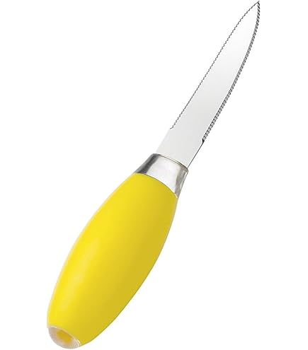 Grapefruitlepel, roestvrij staal, 2 stuks, grapefruitlepel, dessertlepel, vaatwasmachinebestendig, gepolijst roestvrij staal