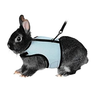 UEETEK Arnés Suave con Plomo para los Conejos Mascotas Conejito Poco – tamaño L (Azul Cielo)