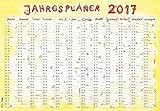 Image de Jahresplaner Cartoon XL 2017 - Wandplaner / Plakatkalender (99 x 69)