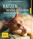 Image de Katzen gesund ernähren gelb 12 x 3,5 cm (GU Tierratgeber)