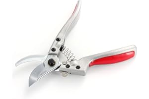 GWCLEO Forbici da Giardinaggio, Manuale Cesoie da Potatura con Lama Acciaio Inossidabile, Troncarami Utilizzate in Giardino e Fattoria, Perfetto per Piante, Bonsai, Fiori, Siepi e Collezione Frutta