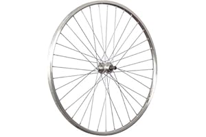 Taylor-Wheels Ruota Posteriore Bici 28 Cerchio Doppia Parete YAK19 Argento
