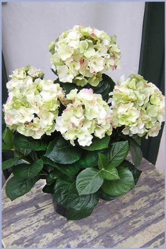 Künstliche Hortensie,cremefarben ca. 55cm sehr dekorativ Spitzenqualität-SONDERANGEBOT