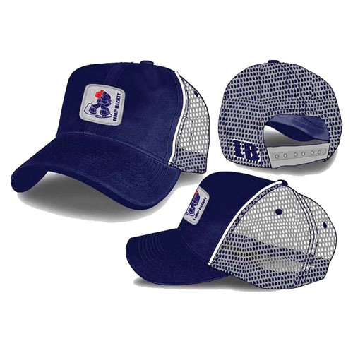 Preisvergleich Produktbild Limp Bizkit - Navy Grey Ottom Trucker Cap