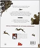 Image de Venere e il drago. I capolavori del Rinascimento r