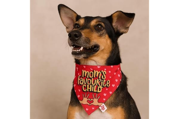 Lana Paws Adjustable Comfortable Mom'S Favourite Child Bandana/Scarf for Dog (Red)_Pack of 1 M-L