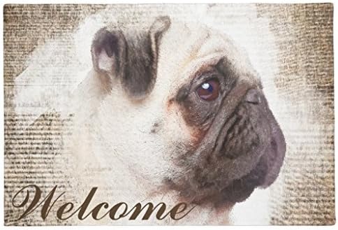 KliwKlol Modern Pug Dog Indoor Door Mat Welcome Rug Doormats for Entrance Way Non-Slip Machine Washable Floor Mats 60 x 40cm