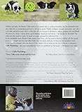 Image de Collie Psychology: Inside the Border Collie mind
