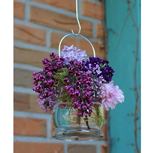 Windlichter, 12 Stück mit Henkel, Laterne Glaslaterne Garten-Deko, Ø 9cm - 5