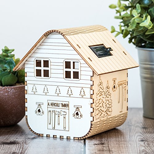 Beautiful Solar Powered Nightlight Woodsman's Lodge Alpine wooden craft kit - this contemporary craft kit comes complete with everything you need to make it and simple instructions - comes in a gift box!