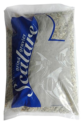 Scalare Gravier Gros Clair 3-6 mm 10 kg