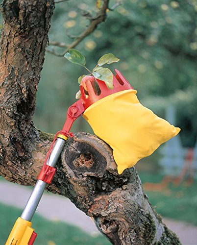 WOLF-Garten multi-star® Obstpflücker mit Gelenk RG-M; 7242000 - 3