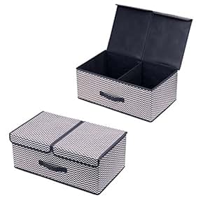 homyfort 2 Stück Aufbewahrungsbox mit Deckel, Klappbar Aufbewahrungsbox