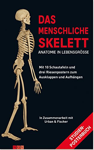Download Das menschliche Skelett. Mit 10 Schautafeln und drei Riesenpostern zum Ausklappen und Aufhängen Download Das menschliche Skelett. Mit 10 Schautafeln und drei Riesenpostern zum Ausklappen und Aufhängen